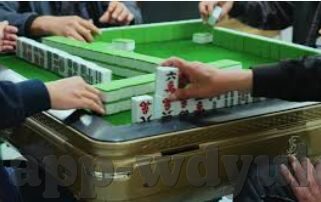 2026世界杯足彩竞猜-2026世界杯足彩竞猜，策略、乐趣与风险并存